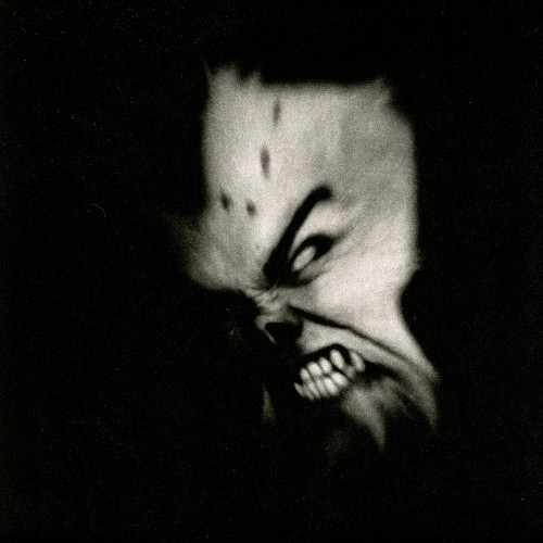 Ildjarn "Strength & Anger" digibook/ vinyl